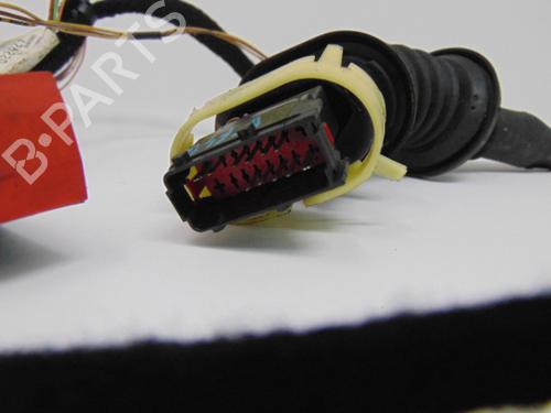 Wiring harness PEUGEOT 307 Break (3E) 1.6 HDi 110 | BP19201625E16 