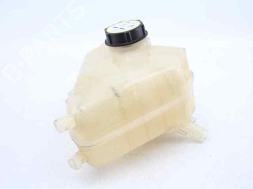 Expansion tank FORD FIESTA VI (CB1, CCN) 1.4 TDCi | BP19233841C120 