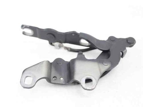 Hinge/Door check strap BMW 1 (E87)  | BP19218459C146 