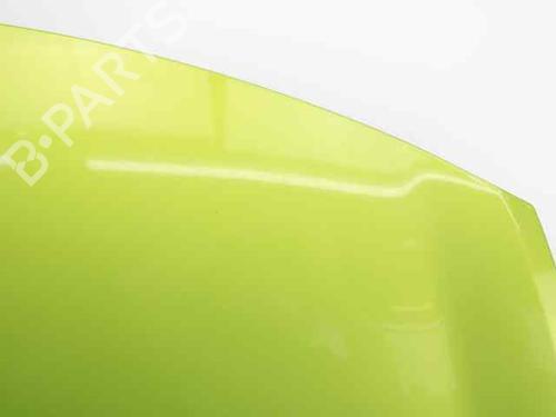 Hood RENAULT CLIO III (BR0/1, CR0/1)  | BP19237376C1 
