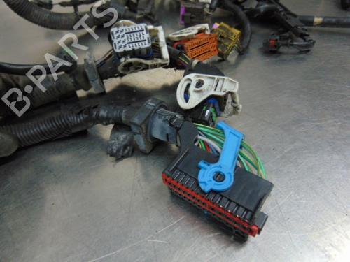 Wiring harness FORD FOCUS II Turnier (DA_, FFS, DS)  | BP19197232E16 