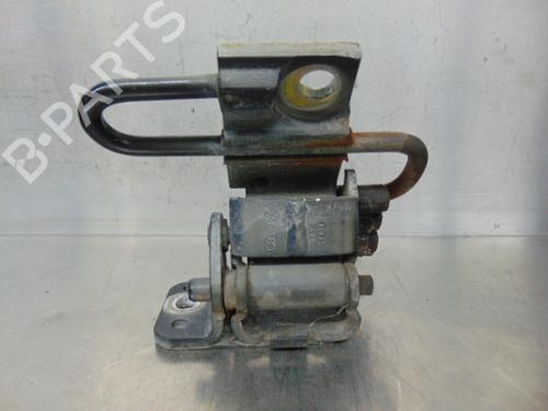 Hinge/Door check strap VW GOLF IV (1J1)  | BP19197660C146 