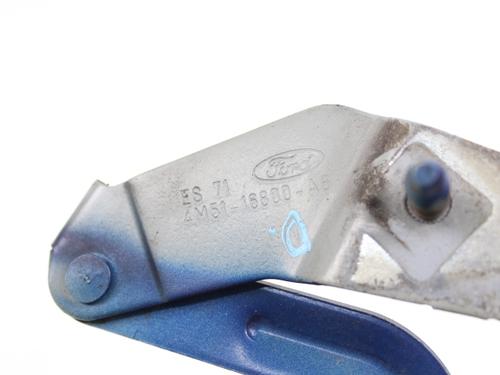 Hinge/Door check strap FORD FOCUS II Turnier (DA_, FFS, DS)  | BP19212496C146 