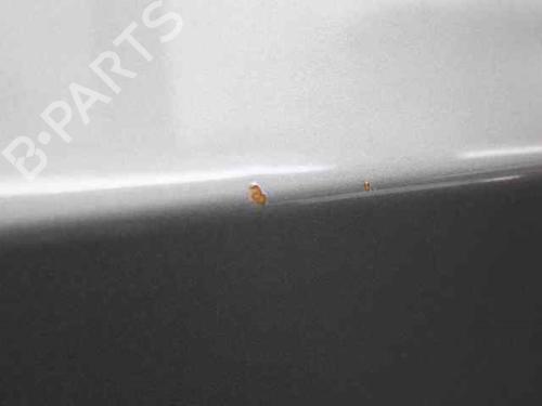 Left front door BMW 3 Touring (E91) 320 d | BP27290427C2 