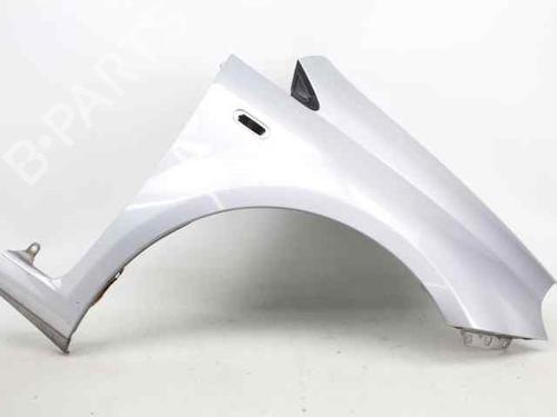 Used Right front fenders FIAT GRANDE PUNTO (199_) 1.3 D Multijet (75 hp) 31962844