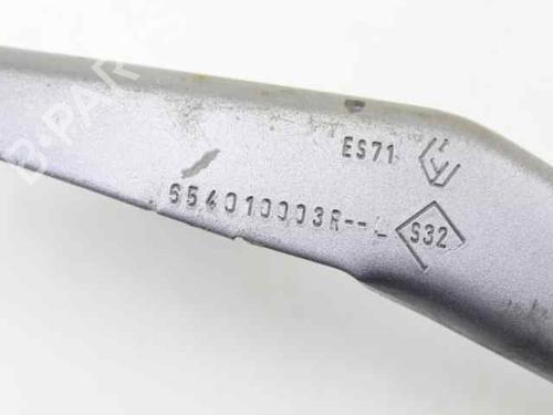 Hinge/Door check strap RENAULT MEGANE III Hatchback (BZ0/1_, B3_) 1.5 dCi | BP25828239C146 