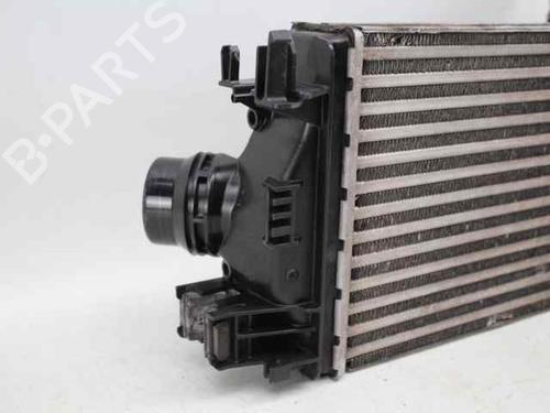 Intercooler DACIA SANDERO III 1.0 TCe LPG | BP33894495M30  - Image 5