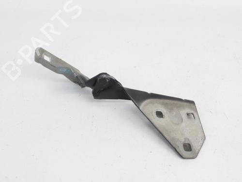 Hinge/Door check strap RENAULT MEGANE II Estate (KM0/1_) 1.5 dCi (KM0F, KM0T, KM2B) | BP19205600C146 