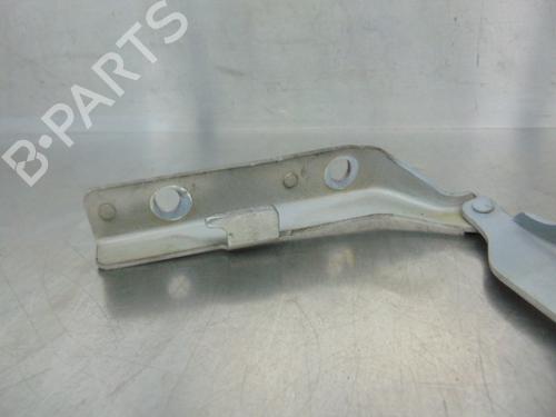 Hinge/Door check strap CITROËN C3 I (FC_, FN_) 1.4 HDi | BP19197260C146 