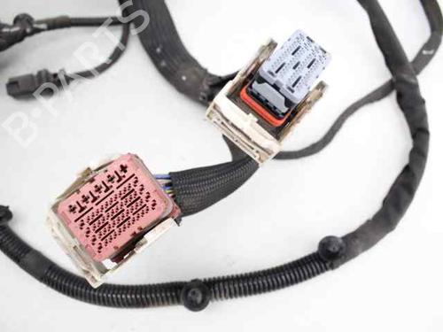 Wiring harness PEUGEOT 308 II (LB_, LP_, LW_, LH_, L3_) 1.6 HDi | BP19227427E16 