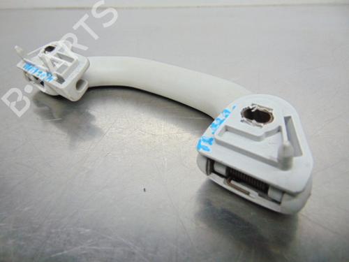 Interior roof handle SKODA FABIA I (6Y2) 1.4 | BP19196276I35 