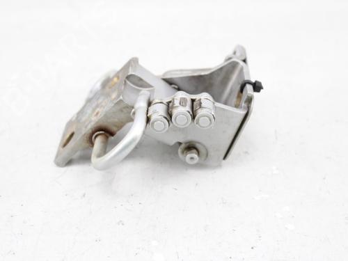 Hinge/Door check strap AUDI A4 B6 Avant (8E5) 1.9 TDI | BP19215076C146 