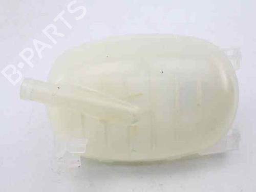 Ekpansionstank DACIA JOGGER (RK_) 1.0 TCe 90 ECO-G (RKMT) | BP31366939C120