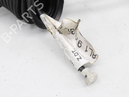 Wiring harness AUDI A3 (8L1)  | BP19208360E16 