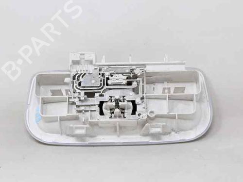 Interior roof light RENAULT SCÉNIC III (JZ0/1_) 1.5 dCi | BP19203195I8 