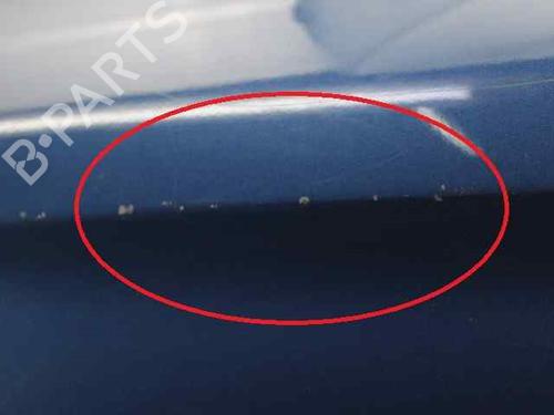 Left front door MERCEDES-BENZ B-CLASS Sports Tourer (W245) B 180 CDI (245.207) | BP19242182C2 