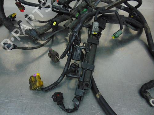Wiring harness FORD FOCUS II Turnier (DA_, FFS, DS)  | BP19197232E16 