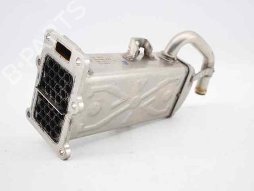 Used Egr VW POLO V (6R1, 6C1) [2009-2022]  19222929