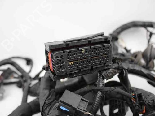 Wiring harness HYUNDAI i20 II (GB, IB)  | BP19235654E16 