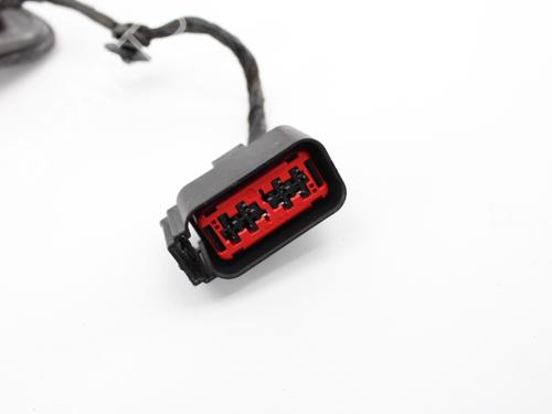 Wiring harness FORD FOCUS II (DA_, HCP, DP)  | BP19215700E16 