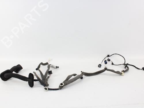 Used Wiring harness RENAULT SCÉNIC III (JZ0/1_) 1.5 dCi (110 hp) 19203140