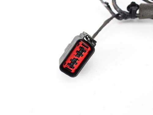Wiring harness FORD FOCUS II (DA_, HCP, DP)  | BP19215699E16 