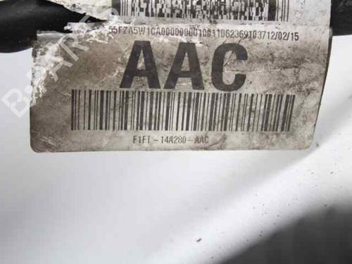 Wiring harness FORD FOCUS III  | BP19238672E16 