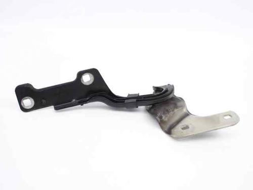 Used Hinge/Door check strap RENAULT CLIO III (BR0/1, CR0/1) 1.2 16V (BR02, BR0J, BR11, CR02, CR0J, CR11) (75 hp) 19222462