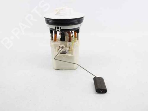 Fuel pump FORD FIESTA VI (CB1, CCN)  | BP19226256M76