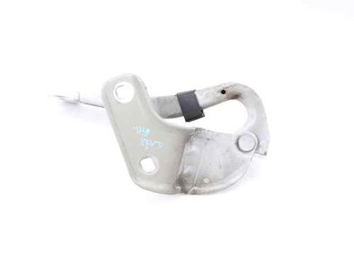 Used Hinge/Door check strap RENAULT CLIO III (BR0/1, CR0/1) 1.5 dCi (75 hp) 19210757