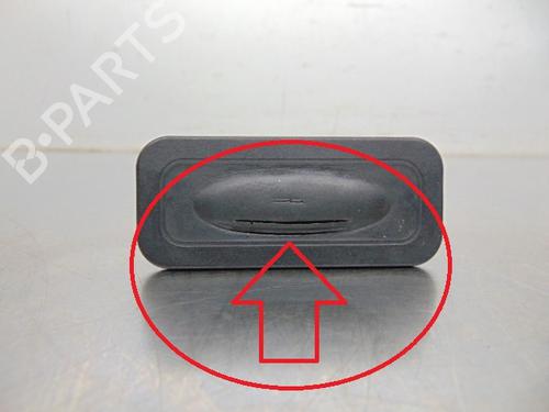 Tailgate handle RENAULT SCÉNIC II (JM0/1_) 1.5 dCi (JM1E, JM16) | BP19201337C132 