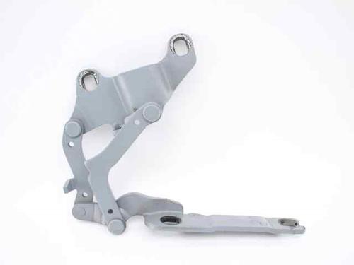 Hinge/Door check strap BMW 3 (E90) 318 i | BP19338330C146 
