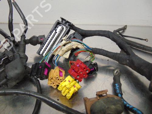 Wiring harness AUDI A6 C5 Avant (4B5) 1.8 T | BP19196210E16 