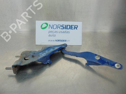Hinge/Door check strap FIAT MAREA (185_) 1.9 TD 75 BP19196532C146