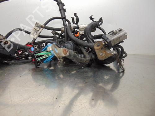 Wiring harness FORD FOCUS II Turnier (DA_, FFS, DS) 1.4 | BP19195788E16 