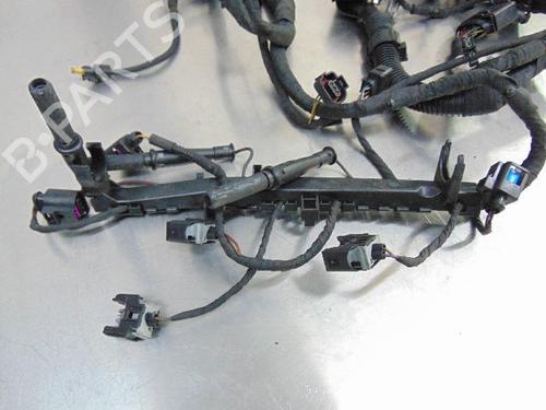 Kabelboom VW POLO V (6R1, 6C1)  | BP19190057E16 