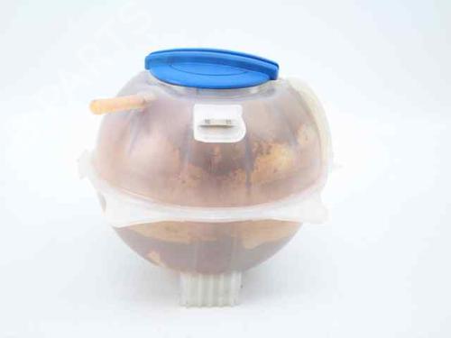Expansion tank VW POLO V (6R1, 6C1)  | BP19222894C120 