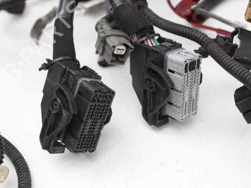 Wiring harness MERCEDES-BENZ CITAN Box Body/MPV (W415)  | BP29143801E16 