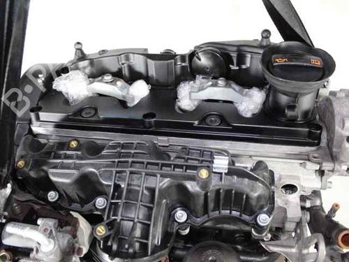 Engine VW PASSAT B6 (3C2) 1.6 TDI | BP31576530M1