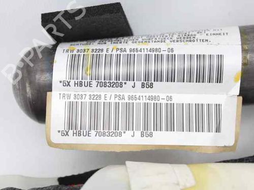 Right curtain airbag CITROËN C4 Picasso I MPV (UD_) 1.6 HDi 110 | BP29873124C12