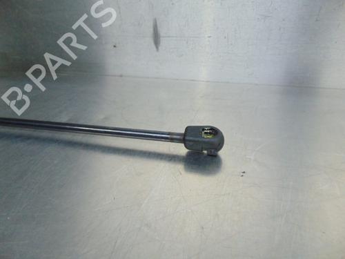 Tailgate lift support CITROËN C2 (JM_) 1.4 HDi | BP19200528C138 