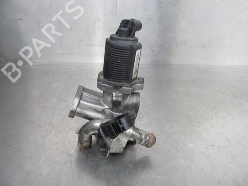Egr OPEL MERIVA A MPV (X03) 1.3 CDTI (E75) | BP19194798M69 