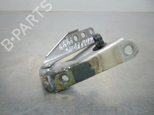 Hinge/Door check strap SEAT CORDOBA (6L2) 1.4 TDI | BP19193821C146 