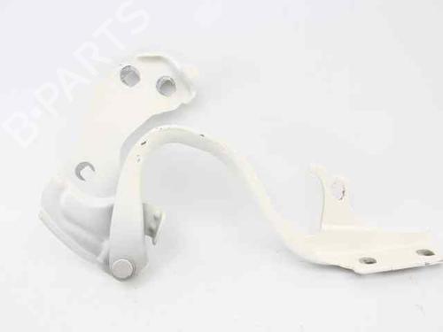 Hinge/Door check strap FIAT 500 (312_) 1.2 (312AXA1A) | BP29986850C146