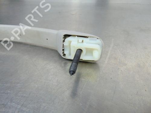Interior roof handle PEUGEOT 307 Break (3E) 2.0 HDI 110 | BP19197738I35 