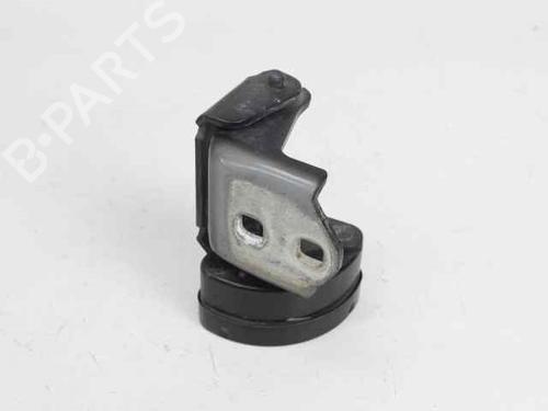 Hinge/Door check strap RENAULT MEGANE II Estate (KM0/1_) 1.5 dCi (KM0F, KM0T, KM2B) | BP19205604C146 