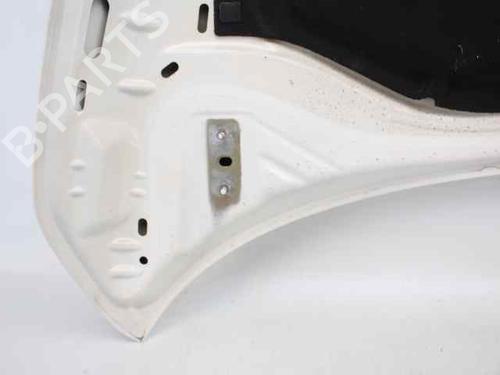 Hood FIAT 500 (312_) 1.2 (312AXA1A) | BP29986879C1