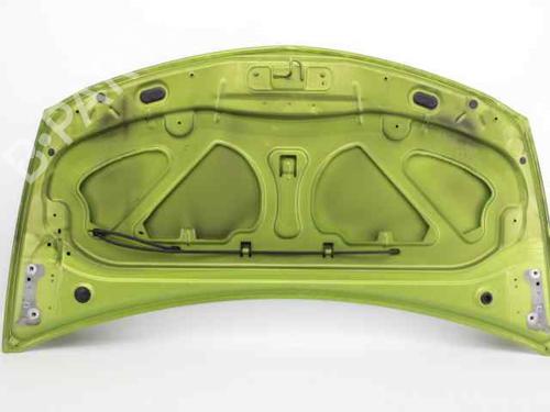 Hood RENAULT CLIO III (BR0/1, CR0/1)  | BP19237376C1 