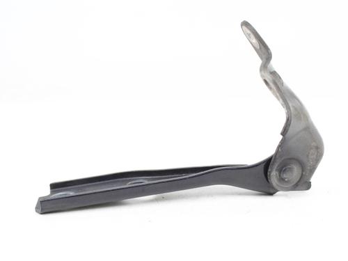 Hinge/Door check strap AUDI A3 (8L1)  | BP19212037C146 