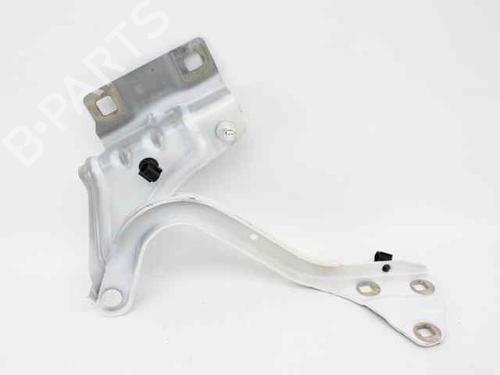 Hinge/Door check strap RENAULT MEGANE IV Grandtour (K9A/M/N_) 1.5 dCi 110 | BP29143724C146 
